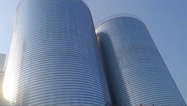 墨玉2座混凝土高架卷板仓